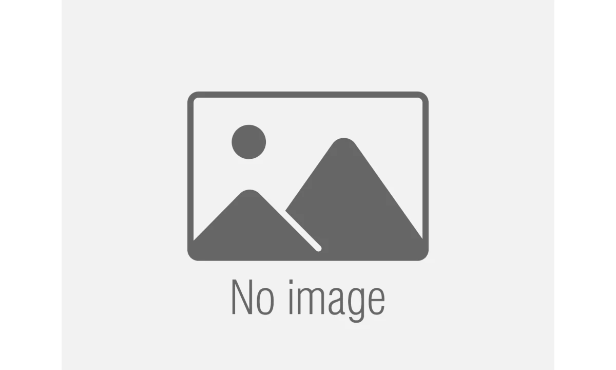 category img